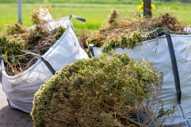 Best Furniture Removal Near Me  in Solomons, MD